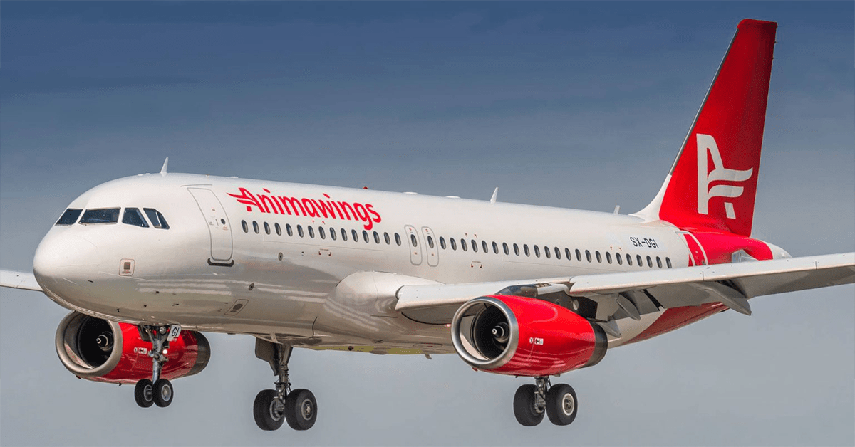 Animawings A220-300 launching September 2024






